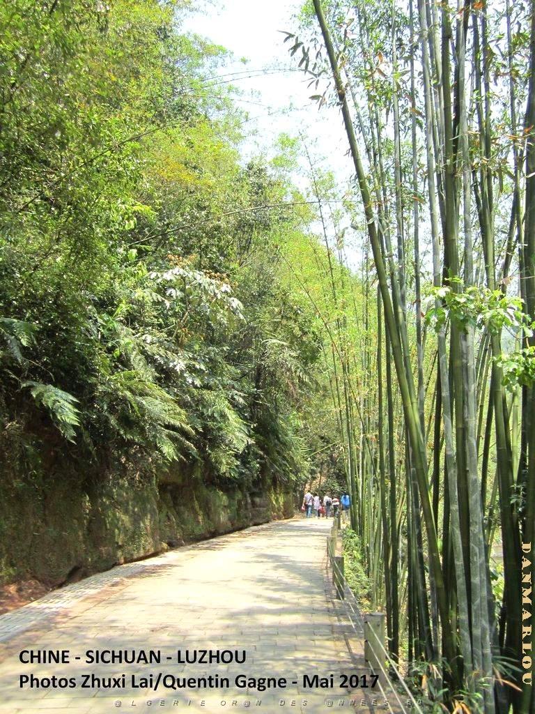 Luzhou 074.JPG